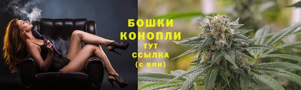 меф Арсеньев