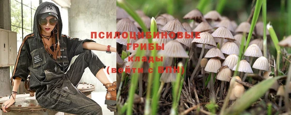 spice Аркадак