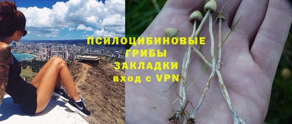 spice Аркадак