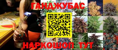 амф Дмитров
