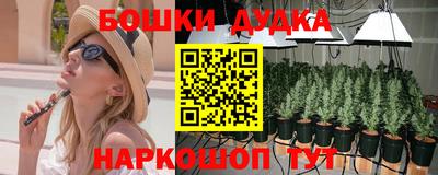 амф Дмитров