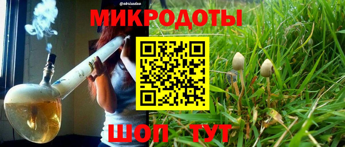 Галлюциногенные грибы Cubensis Переславль-Залесский