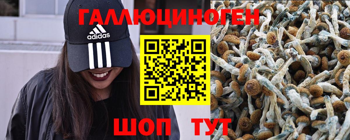 Галлюциногенные грибы ЛСД  Псилоцибиновые грибы мухоморы  Вход с VPN  Переславль-Залесский 